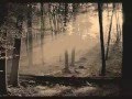 angels - gregorian (with lyrics) 