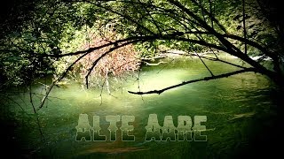 Alte Aare - Bootstour