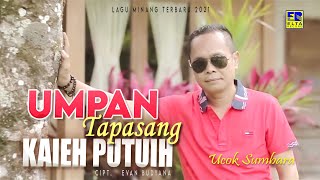 Download lagu Lagu Minang Terbaru 2021 - UCOK SUMBARA - UMPAN TAPASANG KAIEH PUTUIH mp3 Download lagu Lagu Minang Terbaru 2021 - UCOK SUMBARA - UMPAN TAPASANG KAIEH PUTUIH mp3