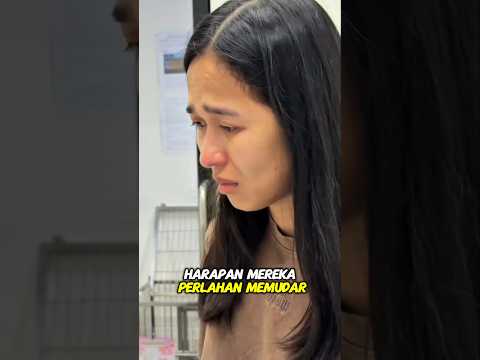 Mereka berhenti menolong kucing ini, tapi akhirnya terjadi hal yang paling di takuti#shortvideo