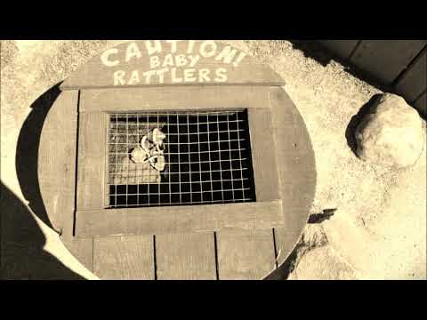 A Day At Knott's Berry Farm