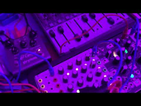 Tiptop Audio Z8000 Matrix Sequencer - Black image 3