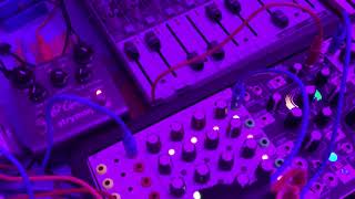 Video thumbnail for Amazing fun with the TipTop Audio Z8000 Matrix Sequencer by David Maslin Modulating Science