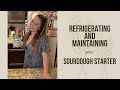 Refrigerating & Maintaining your Sourdough Starter |  Bread Baking for Beginners