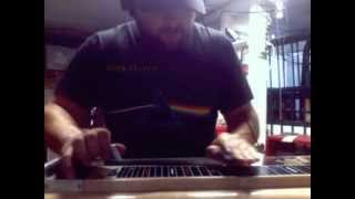 Adam Kurtz plays the Guitar Solo from Money on Pedal Steel Guitar