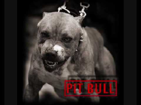 O-KILLA - Es werden Grenzen gesetzt feat Rapkopat (DEMO!!)