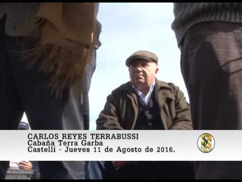 11-08-16 Nota Carlos Reyes Terrabussi - Cabaña Terra Garba - Castelli.