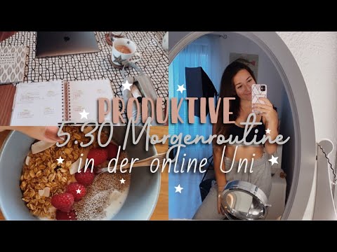 5.30 AM PRODUKTIVE MORGENROUTINE *online Uni Edition* // TIPPS für Frühaufstehen & Motivation // uni