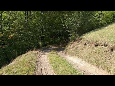 Lotrioara; Valea Lotrioarei