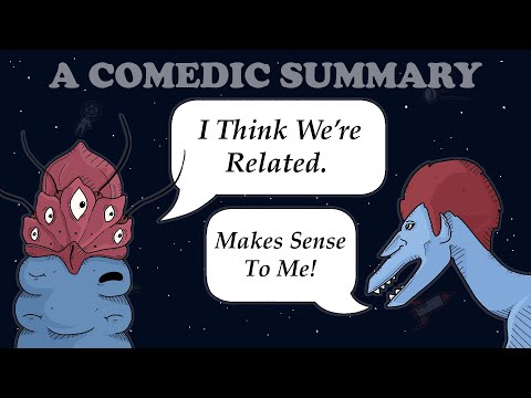 All Tomorrows | A Comedic Summary