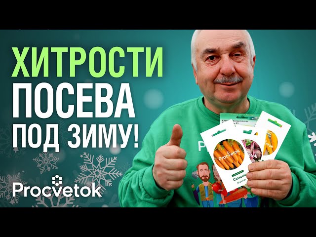 ПОСЕЙТЕ ЭТИ СЕМЕНА ПО ПЕРВОМУ СНЕГУ! Рано взойдут, не будут болеть и поражаться вредителями