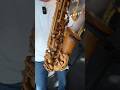 The Craziest Saxophone Ever Made Saxophone Altosax Sax