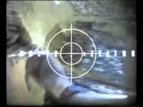 [8] Trifft Rhiz (grafzyx zeitdrift 08)