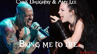 Chris Daughtry &amp; Amy Lee - Bring me to life 2016