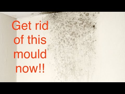 Dovedale Dampcure Services Ltd | A Typical PIV Installation | Damp & Mould