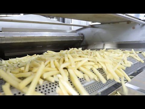 , title : 'FRENCH FRIES PRODUCTION LINE'