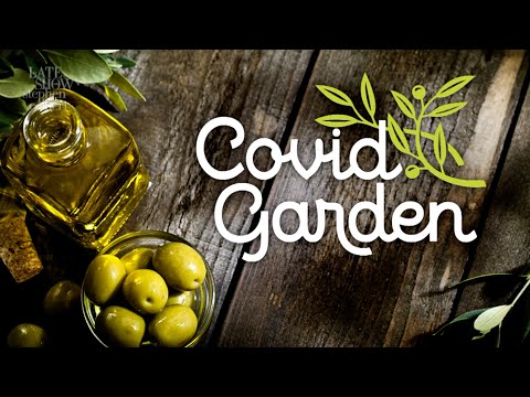 There Are No Health Regulations At Covid Garden