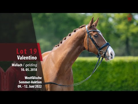 Sommer-Auktion Lot 19 Valentino Wallach v. Veneziano - Londonderry