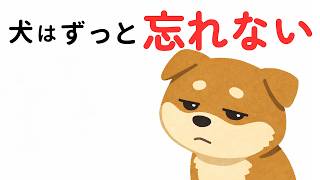 実は犬は全部覚えている…愛犬が絶対に忘れないあなたとの7つの記憶