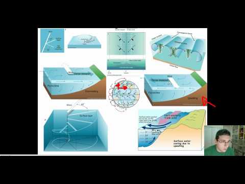 Ocean Currents (Part 5): Ekman Transport & Upwelling / Downwelling