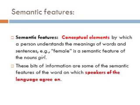 3 Semantic Features