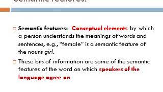 3  semantic features