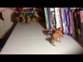 Bambi The Movie Part 16
