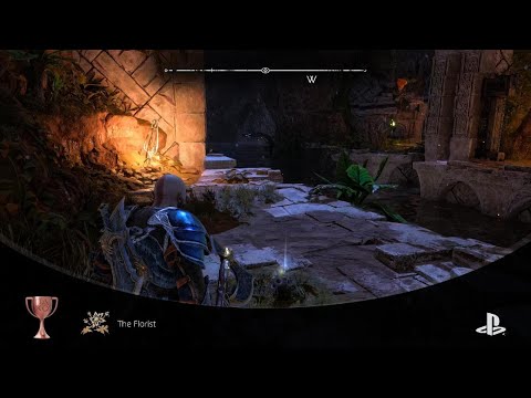 God of War Ragnarök, the florist trophy