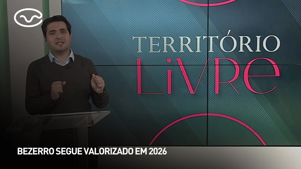 Bezerro segue valorizado em 2026
