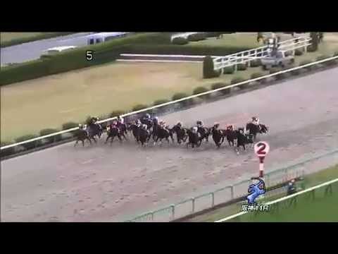 2014 ANTARES STAKES G3