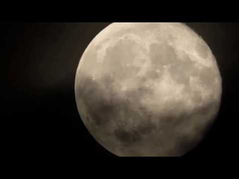 American Vintage Band in Concert, Ortezzano festa del Vino 2016 K manortiz