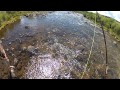 Fly Fishing Taylor River
