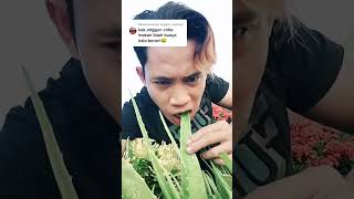 Download lagu makan lidah buaya mp3