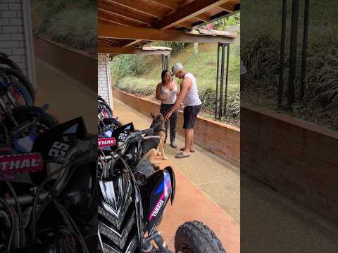 Las motos sin permiso #humor #comedia #reels #comedy #shorts #shortvideo