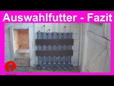 011 Auswahlfutter für Hühner - Was wird wovon wieviel gefressen (Teil2)- Jensman and the Huhns🐔