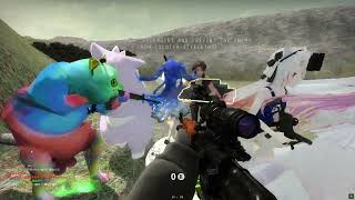 ただただInsurgencyをプレイ(実況無し) part8
