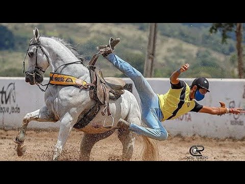 se quiser e desse jeito - Edy e Nathan - feat - Tarcísio do Acordeon [Vaqueiro Do Sertão]