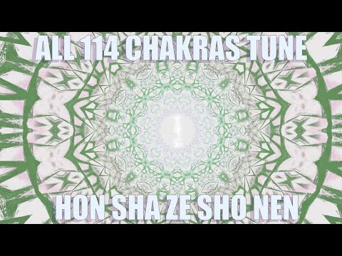 All 114 chakras meditation Hon Sha Ze Sho Nen Reiki Light for ALL CHAKRAS entire path UP to Source