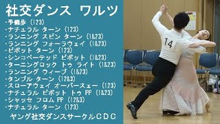 社交ダンス　カラオケ　ＭＬ 社交ダンス】千葉県ダンススポーツ連盟 山嵜・石本組講習会VLOG スロー