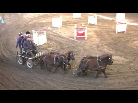 Soutěž č. 6: Čtyřspřeží pony – Zimní jezdecký pohár spřežení, Hradištko 2. 2. 2025