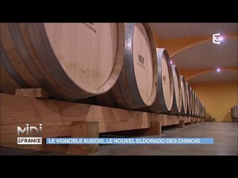 Le vignoble Audois, le nouvel eldorado des chinois
