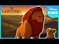 Mufasa S Wisdom Shines ️ The Lion King Disney Kids