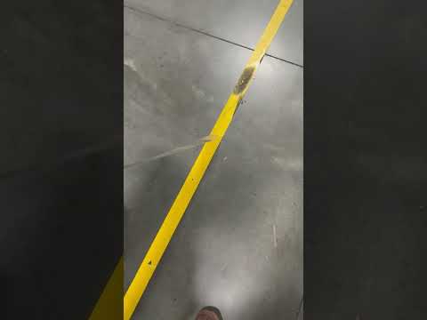 Make sure you try a removability test. Your floors and staff will thank us later.