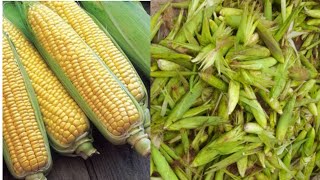 Fresh Sweet Corn Market || Marketvlog