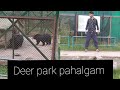Kashmir series |pahalgam zoo|explore |white tiger|brown bear 🐻|Himalayan bear