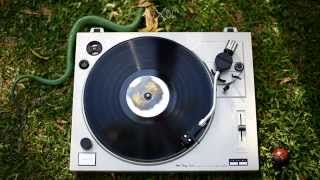 LANCASTER - AS WILD AS TIGERS