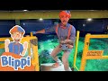 Blippi Visits An Aquarium Learm About Animals Fish For Kids Educational Videos For Toddlers