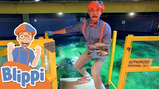Download lagu Blippi Visits an Aquarium! | Learm About Animals & Fish For Kids | Educational Videos For Toddlers mp3