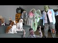 Dog vs Zombie Apocalypse Prank! Funny Dogs Maymo & Potpie Battle Zombies Halloween Pranks