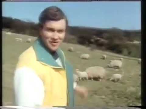 Harry Enfield   Loadsamoney 'In The Country'